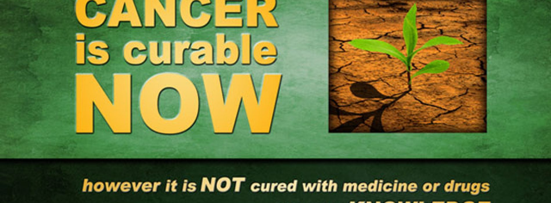 30 experts onthullen effectieve kankerbehandelingen