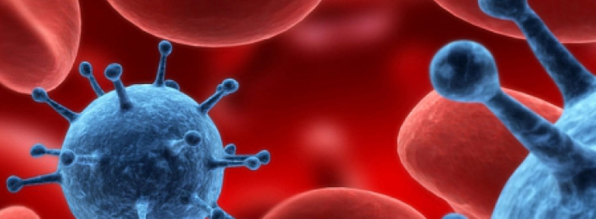 Virus geneest alle soorten borstkanker ‘binnen zeven dagen’