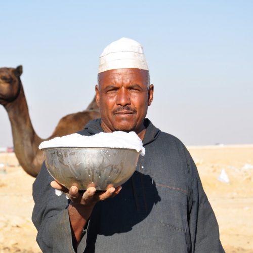 Alles over kamelenmelk: het nieuwe superfood