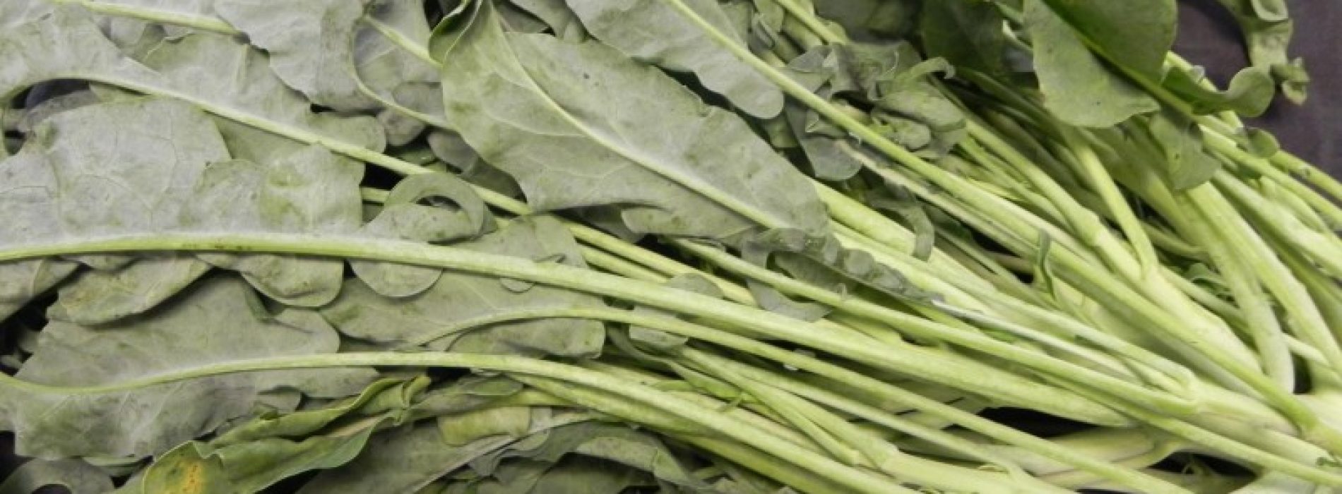 Blaadjes van broccoli: wordt dit de nieuwe hype in superfoodland?