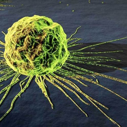 “Opzienbarende doorbraak”: Kijk hoe dit menselijk eiwit in realtime kankercellen doodt