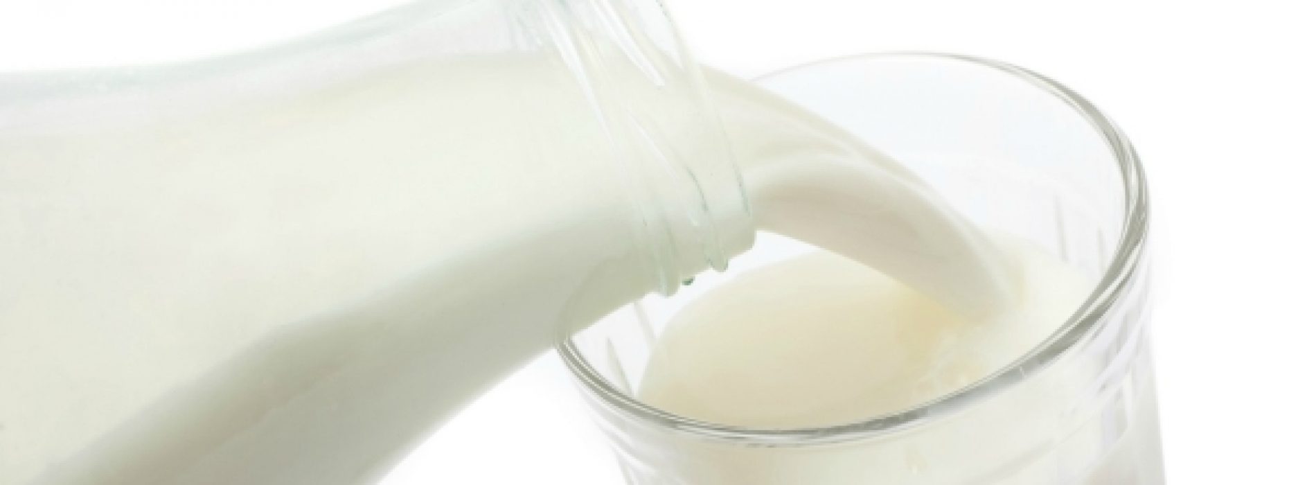 Melk remt ziekmakende bacterie
