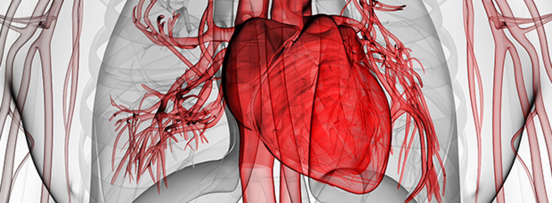 Heeft Q10 effect op hart- en vaatziekten?