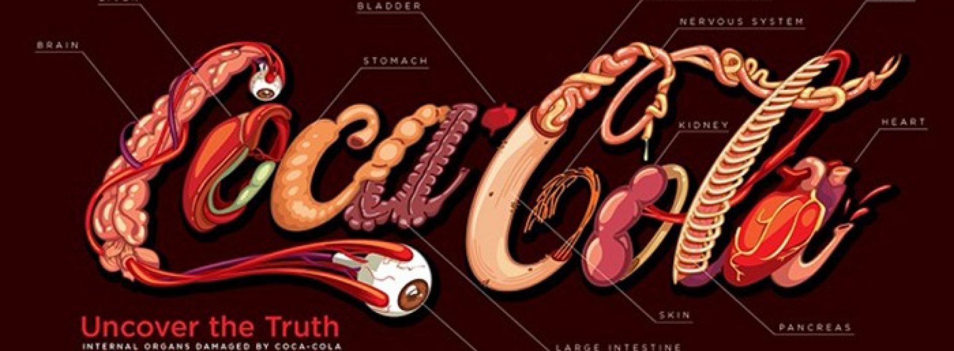 Eerlijk logo onthult welke organen worden aangetast als je Coca-Cola drinkt: “Het is vergif”