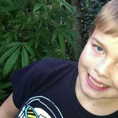 Jongetje (8) verlost van epileptische aanvallen dankzij cannabisolie
