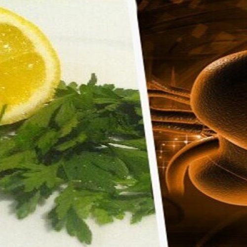 Hoe gebruik je peterselie en citroen om je nieren te ontgiften