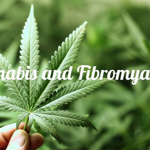 Onderzoek: Cannabis beste medicijn voor fibromyalgie