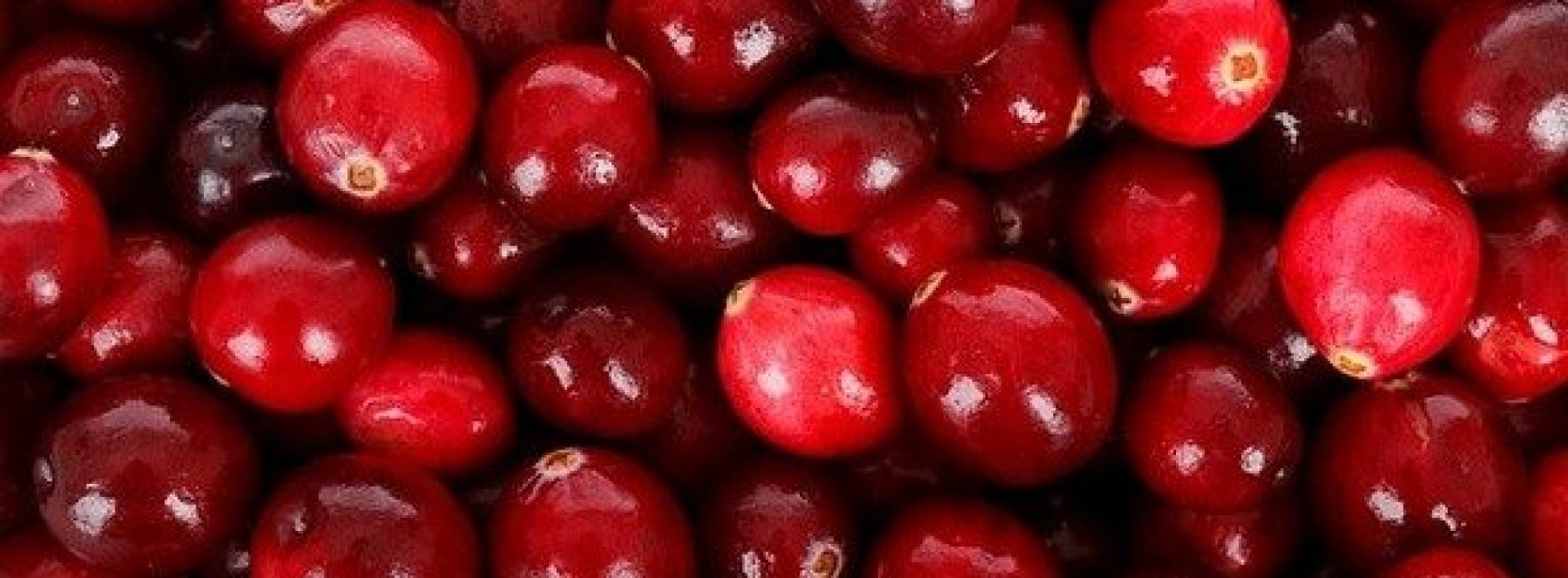 Zijn cranberry’s echt zo gezond?