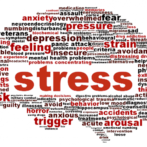 Hoe stress ook positief kan uitdraaien