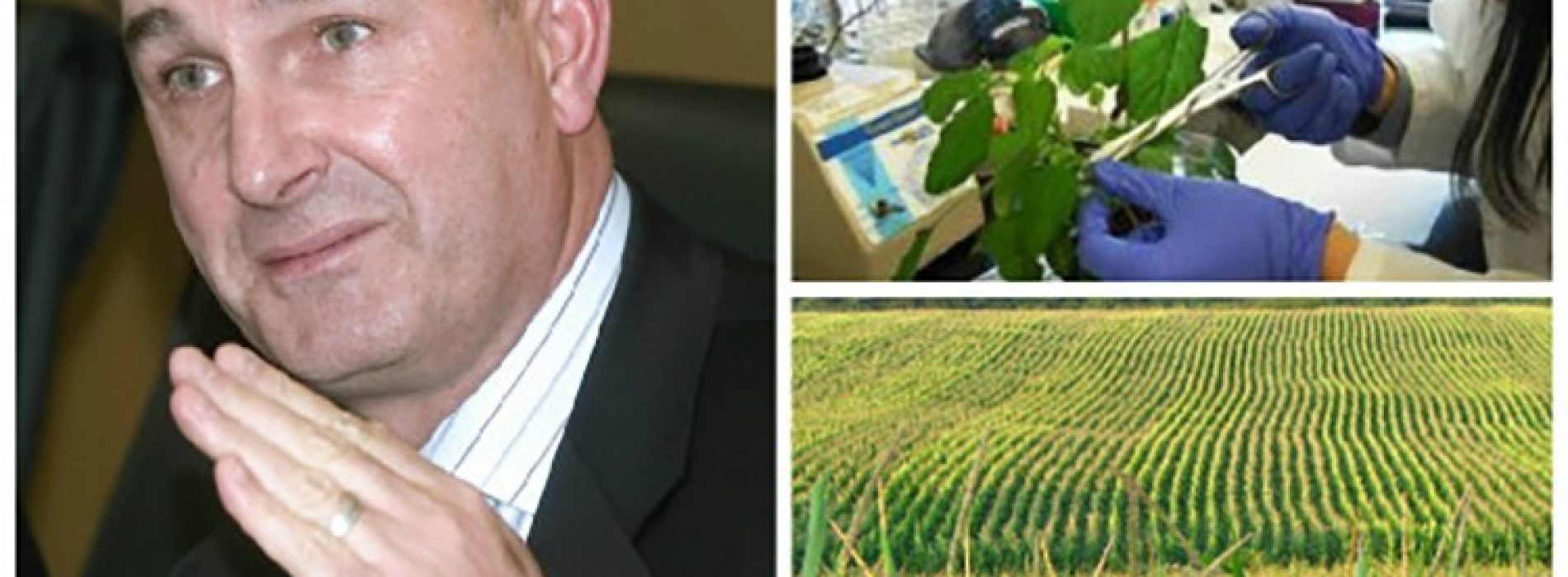 Acteur Mark Ruffalo haalt uit naar Monsanto: “Jullie vergiftigen mensen”