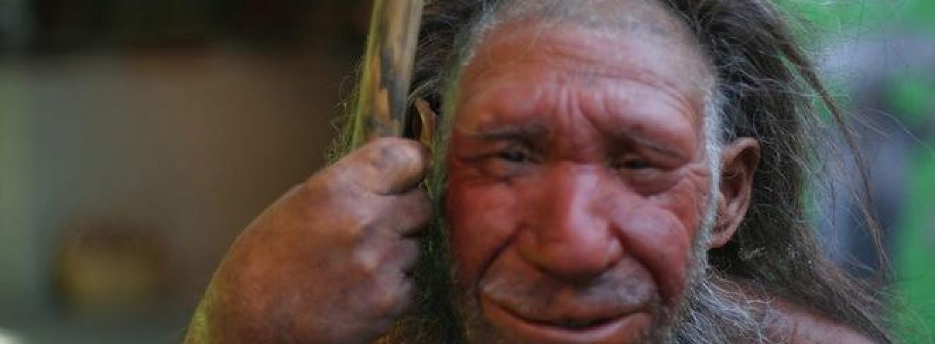 Allergieën overgedragen door genen van Neanderthalers
