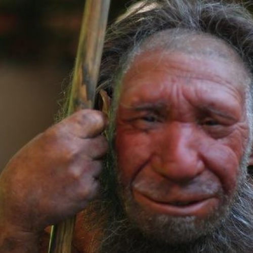 Allergieën overgedragen door genen van Neanderthalers