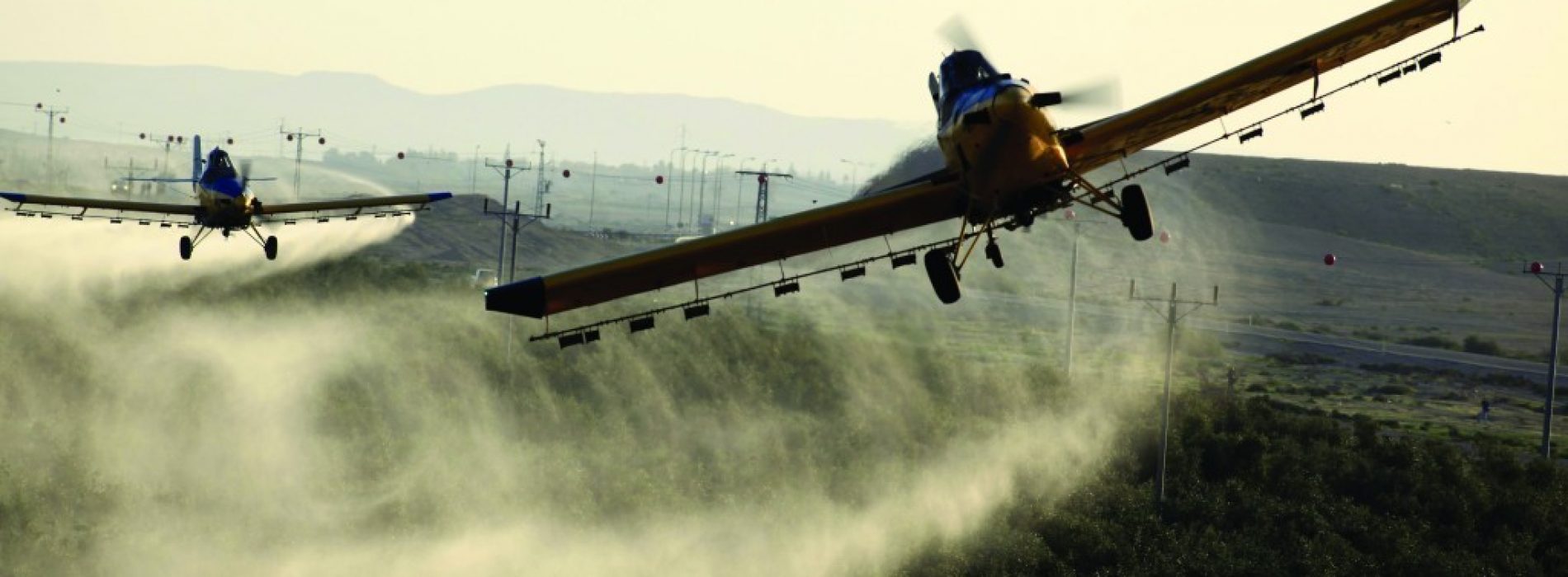 Gifmix op genetisch gemanipuleerde soja van Monsanto groot gevaar voor de gezondheid: “We zijn geschokt”