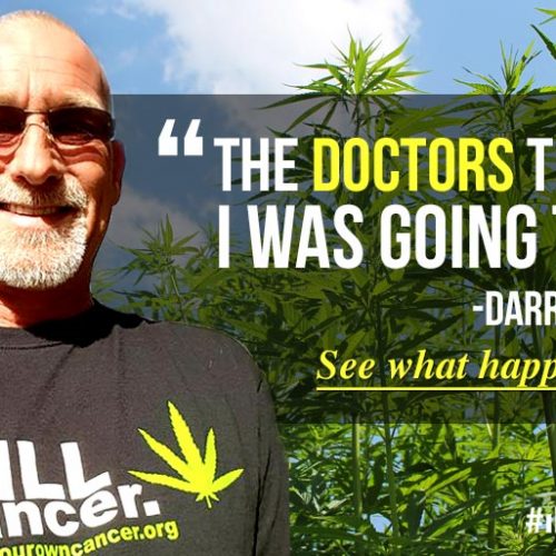‘Ongeneeslijk zieke’ man (50) geneest van kanker door cannabisolie