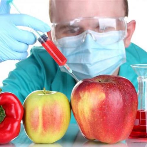 Iraanse wetenschapper: “Import genetisch gemodificeerde producten is zionistisch complot”