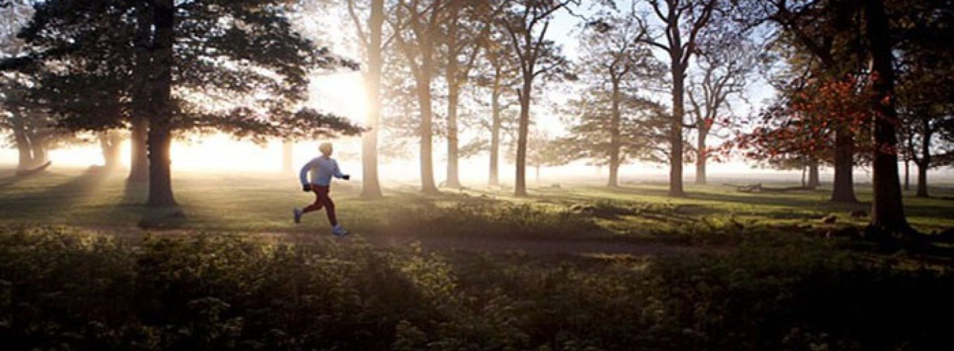 Aërobic oefeningen zoals hardlopen verhogen de aanmaak van zenuwcellen in de hersenen van volwassenen