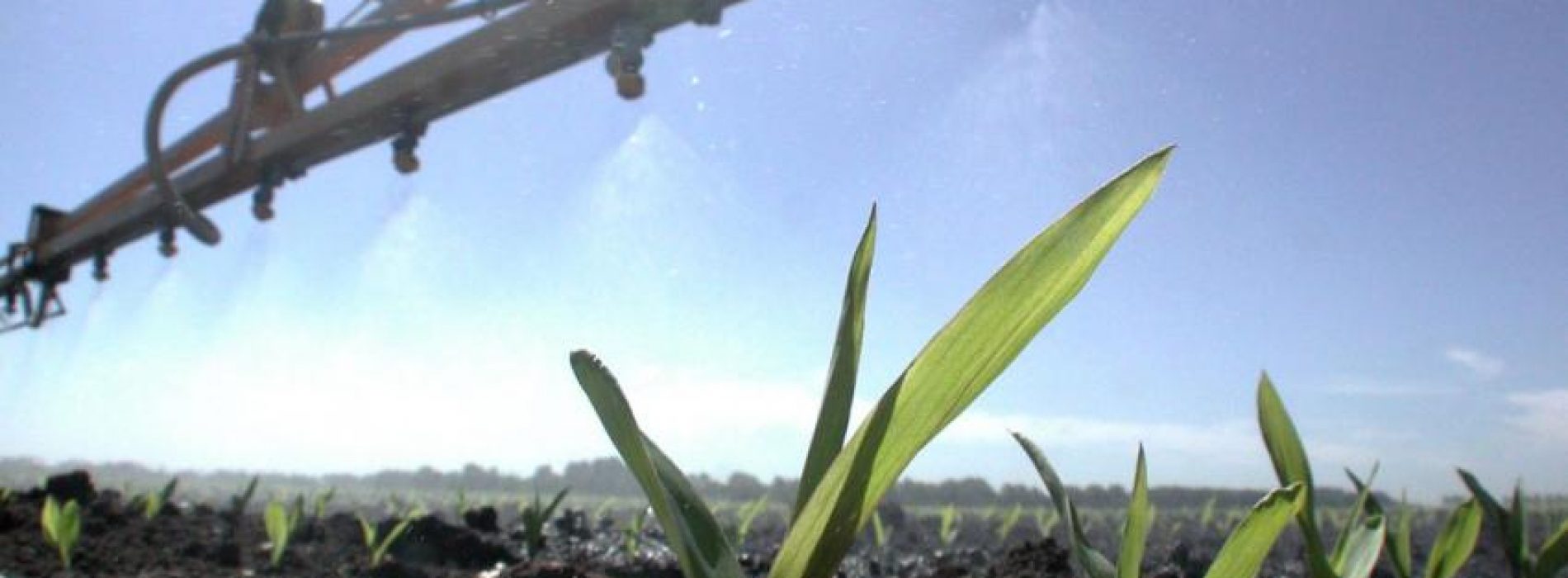 Glyfosaat: omstreden gif van Monsanto dat in recordhoeveelheden over onze akkers en tuinen wordt gesproeid