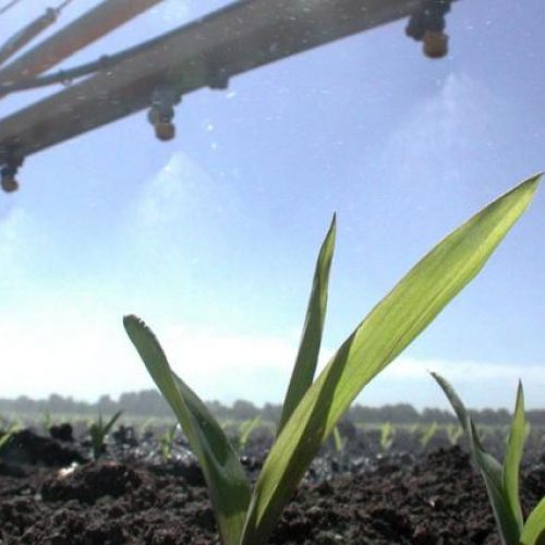 Glyfosaat: omstreden gif van Monsanto dat in recordhoeveelheden over onze akkers en tuinen wordt gesproeid