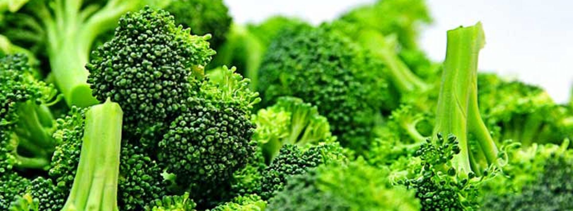 Om deze redenen zou je broccoli veelvuldig moeten toevoegen aan je dieet
