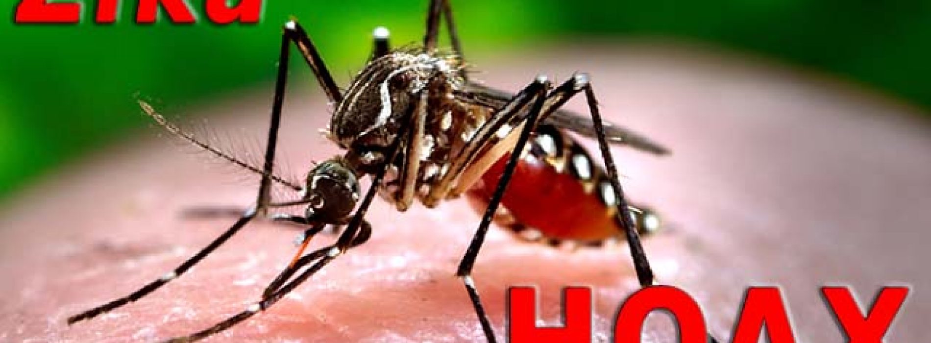 Chili: eerste geval van besmetting met zikavirus via seksueel contact