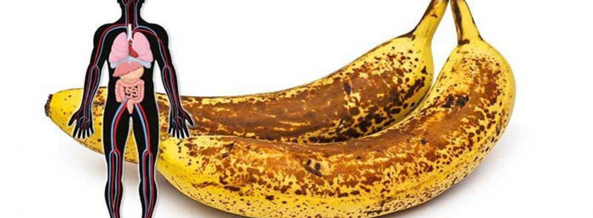 Dit is wat er met je gebeurt als je 2 gevlekte bananen per dag eet en dat een maand lang
