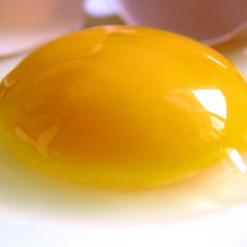 Hoe ongezond zijn eierdooiers?