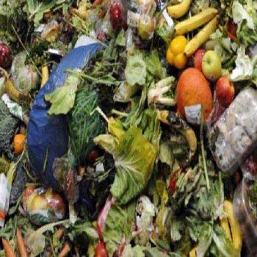 Studie toont aan: het verminderen van voedselverspilling verzacht de klimaatverandering