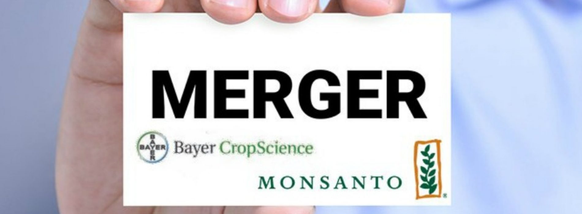 Bayer en Monsanto: een huwelijk voltrokken in de hel