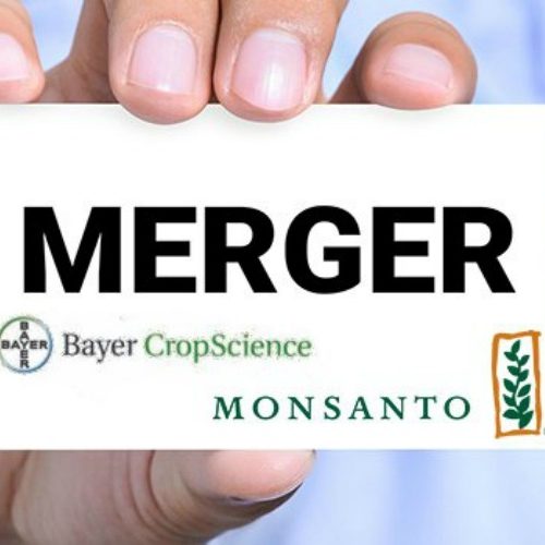 Bayer en Monsanto: een huwelijk voltrokken in de hel