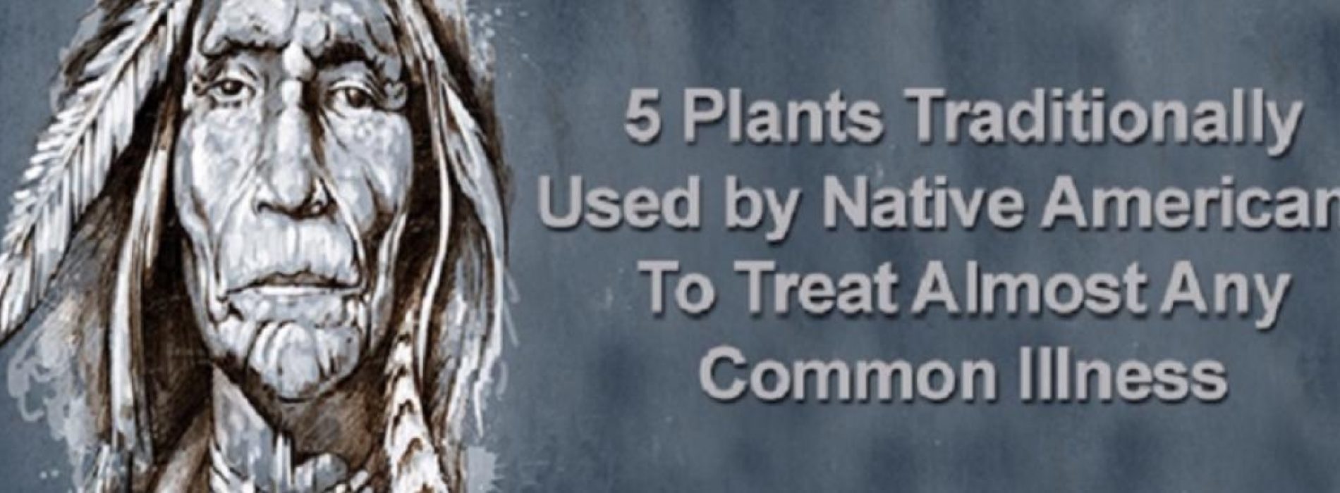 5 medicinale planten die sinds eeuwen door de indianen gebruikt werden