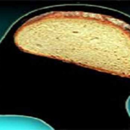 Waarom tarwe, koolhydraten en suiker enorme impact op brein hebben, volgens de neuroloog