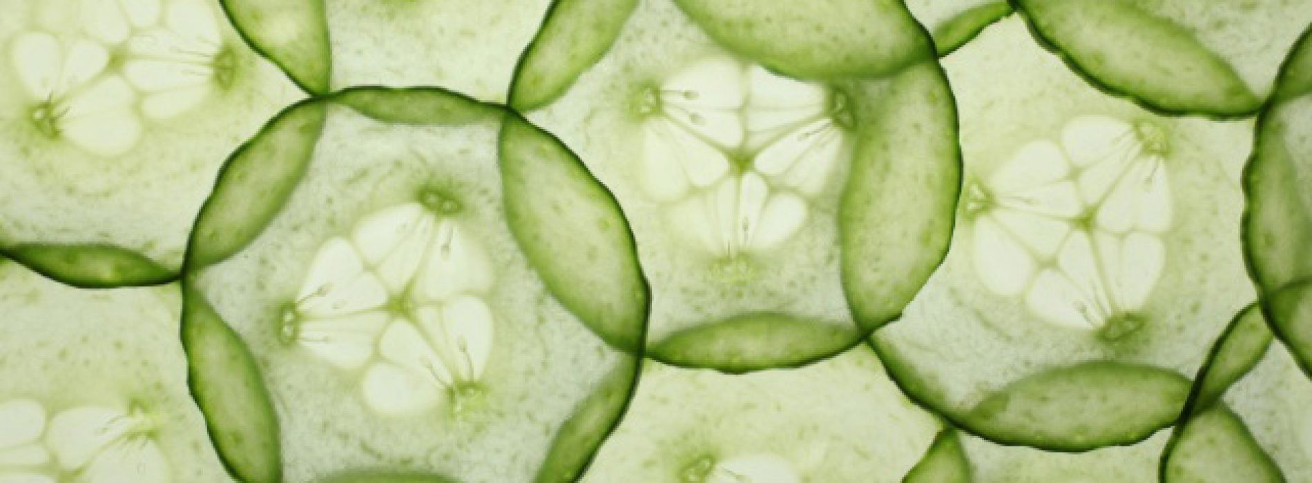 Komkommers bestrijden kanker, hartziekte en meer