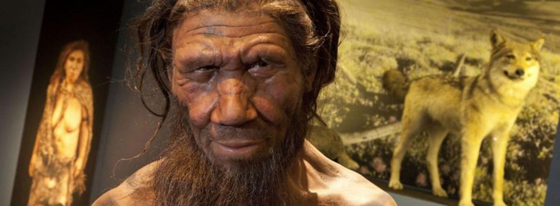 Neanderthalers gebruikten 50.000 jaar geleden al plantaardige penicilline en aspirine als medicijn