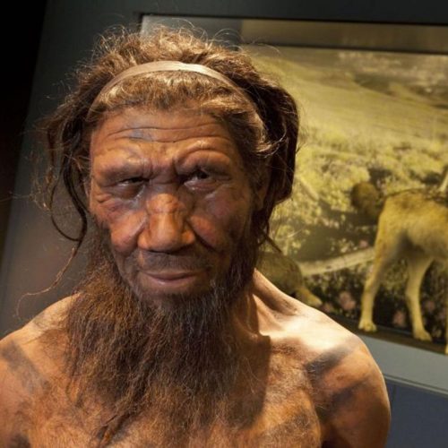 Neanderthalers gebruikten 50.000 jaar geleden al plantaardige penicilline en aspirine als medicijn