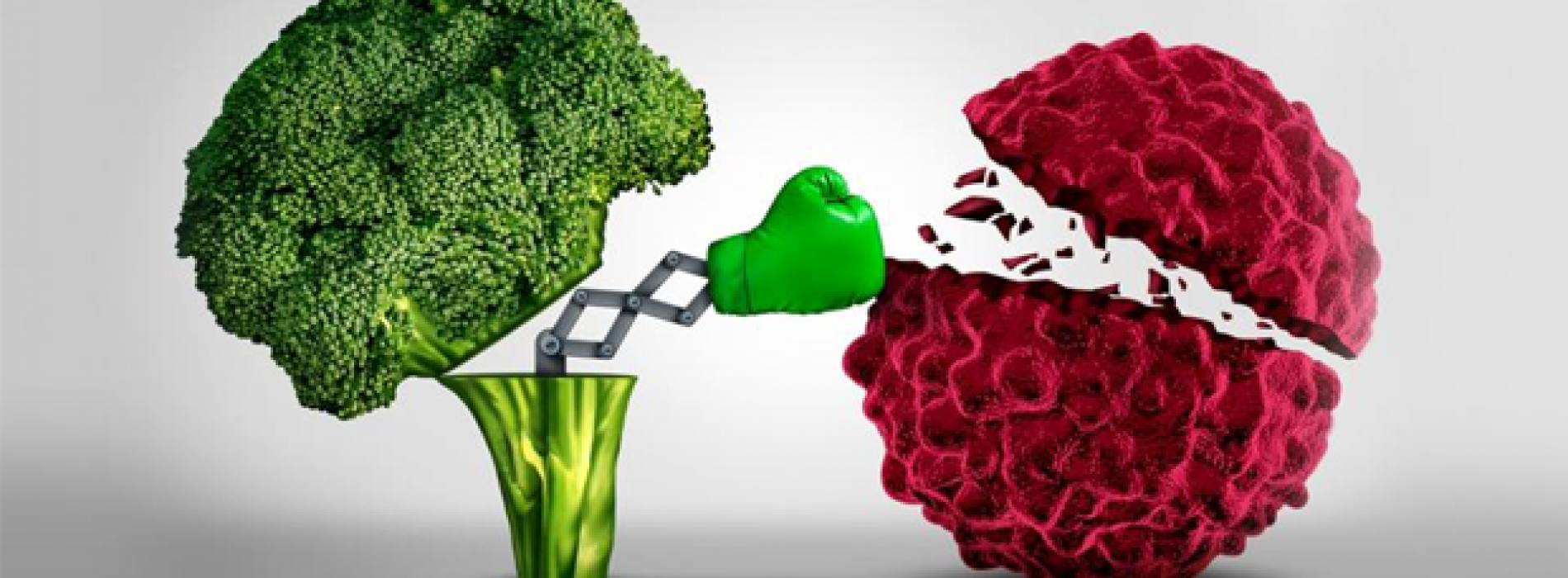 Broccoli blokkeert uitzaaiing agressieve borstkanker