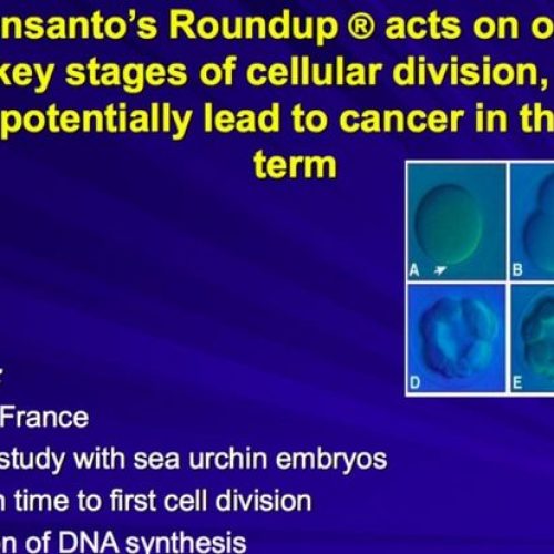 Monsanto steeds verder in het nauw. Deze PowerPoint wilde de landbouwreus liever geheim houden