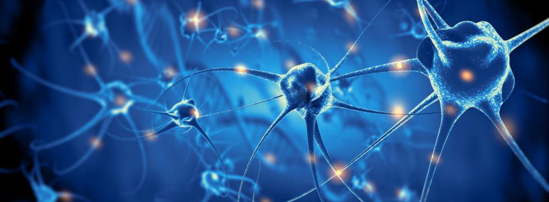 Toonaangevend onderzoek laat zien: Aspartaam (E951) verstoort de werking van de hersenen