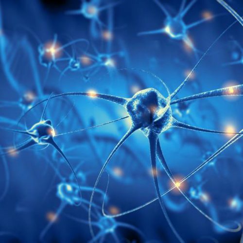 Toonaangevend onderzoek laat zien: Aspartaam (E951) verstoort de werking van de hersenen