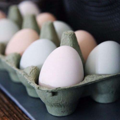 Genetisch gemodificeerde kippen leggen eieren met medicijn tegen kanker