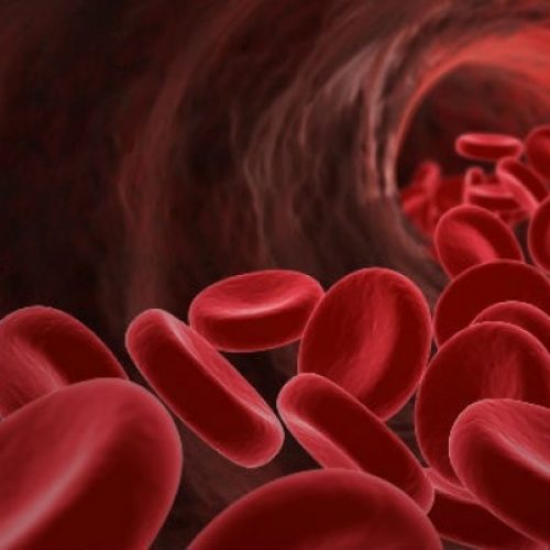 Weer een ander medicijn dat gevaarlijker is dan de aandoening dat het behandelt: Bloedverdunnende medicijnen verhogen het risico op interne bloedingen en meer…