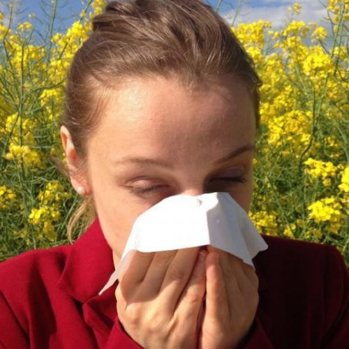 5 manieren om allergiesymptomen te stoppen zonder medicijnen