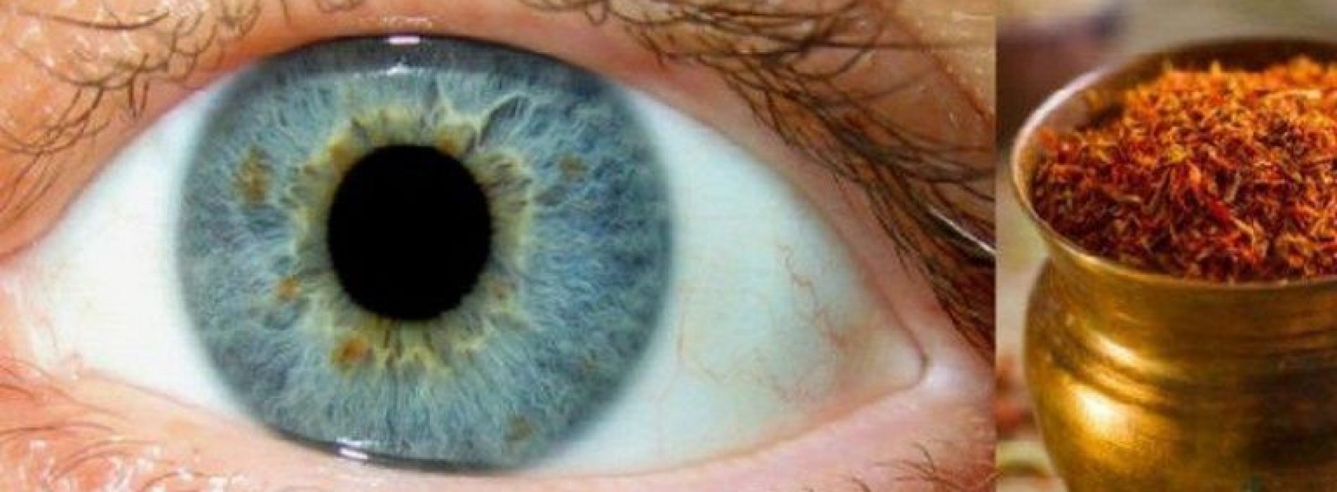 Saffraan kan helpen om leeftijdgerelateerd verlies van gezichtsvermogen te keren