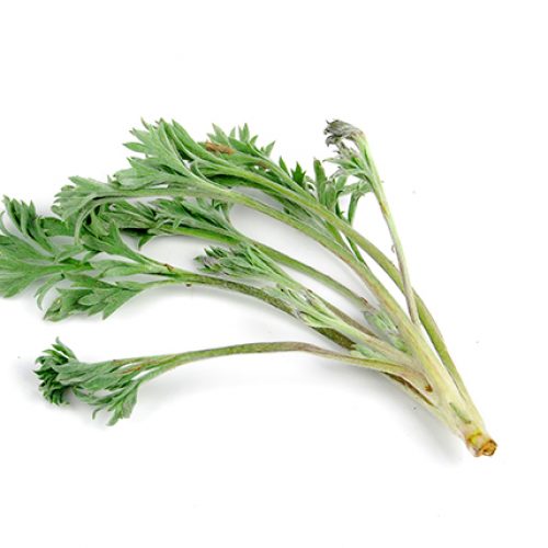 Artemisia capillaris (alsem) bleek mineralisatie van bot te stimuleren, en botverlies te voorkomen