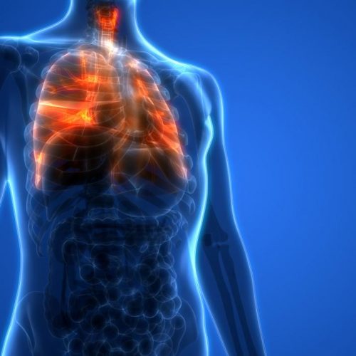Moet je je longen reinigen? Natuurlijke manieren om uw ademhalingsgezondheid te verbeteren