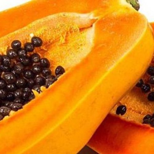 Wees niet zo snel om papaja zaden weg te gooien – ze bieden een verrassend aantal voordelen voor de gezondheid