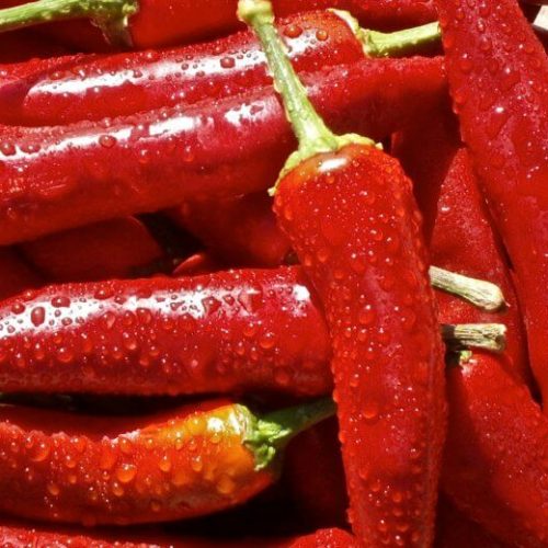 Onderzoek vindt: Chili Pepers kunnen de ontwikkeling van longkanker vertragen