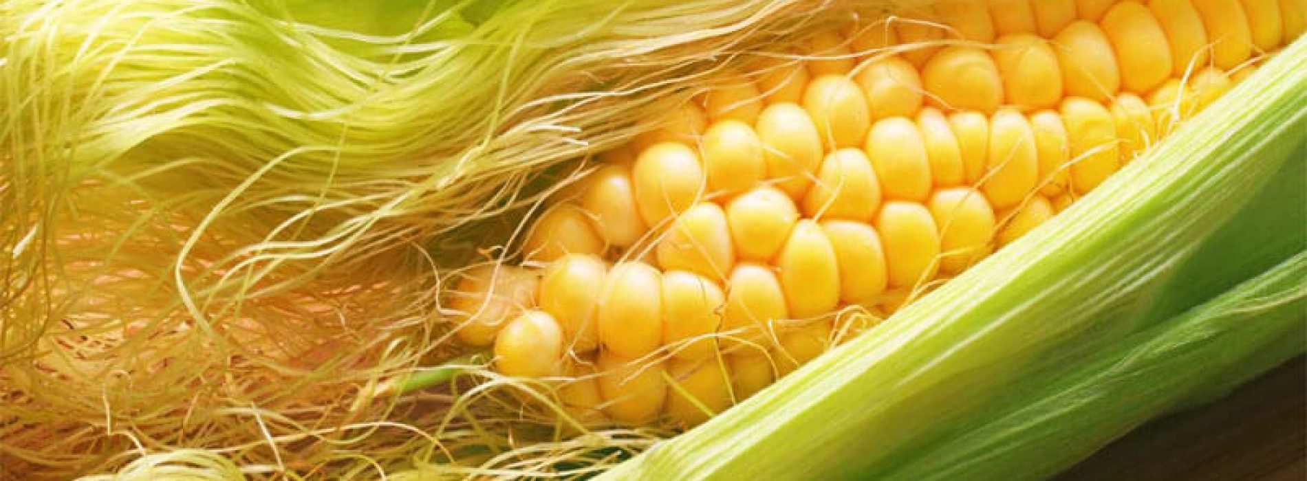 Maïszijde kan volgens onderzoek ontsteking op celniveau voorkomen