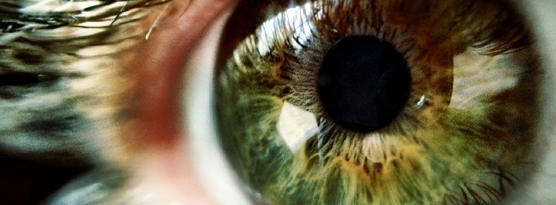 Tips voor het verbeteren van de gezondheid van de ogen en het voorkomen van maculaire degeneratie