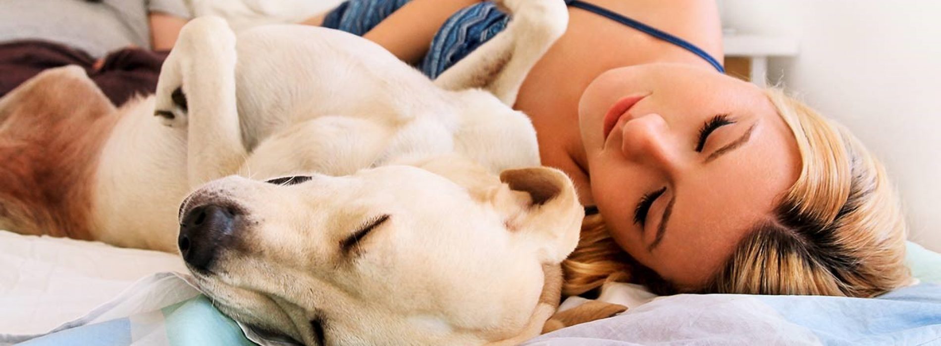 De voor- en nadelen van slapen met je huisdier