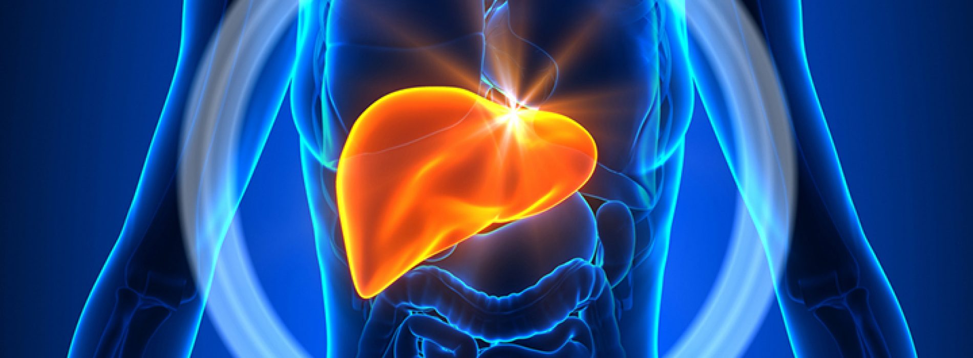 De verbinding van uw lever met de gezondheid van het hart: NAFLD verhoogt uw risico op een hartaanval en beroerte